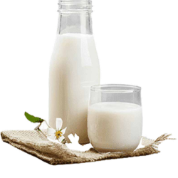 sulech_leche_premium