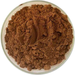 sulech_sustituto_canela